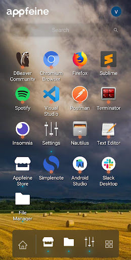 myDeOS Screen 2