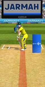 Out or Not Out Pro Apk 4