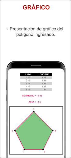 Area Poligono coordenadas Screen 3