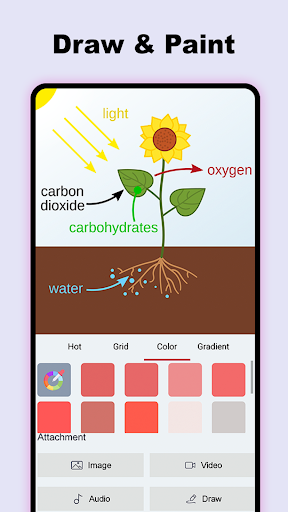 Screenshot 19
