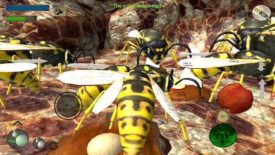 Wasp Nest Simulator - Insect a