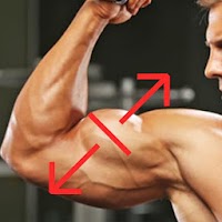 Arms Photo Editor - muscular biceps