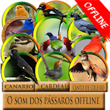 Full bird sound (offline) icon
