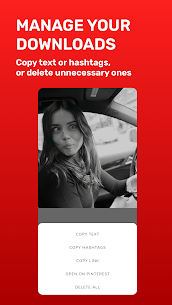 Pinterest Video Downloader 5