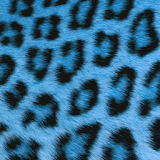 GO SMS Blue Cheetah Theme icon