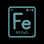 Cover Image of ダウンロード Fit Evo Online  APK