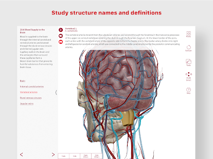 Анатомия и физиология Скриншот