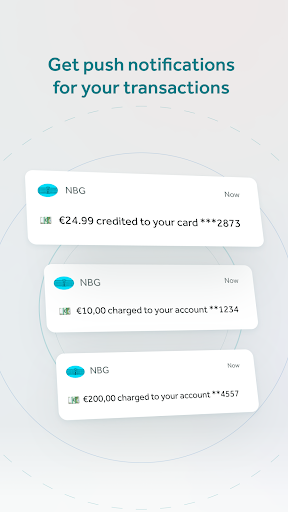 NBG Mobile Banking Screen 3