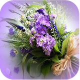1043 Flowers Live Wallpapers icon