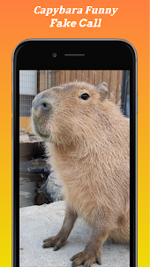Capybara Funny Call Video
