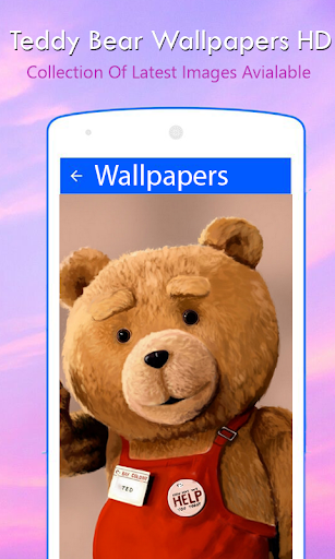 Teddy Bear Wallpapers HD Screen 3