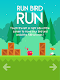 screenshot of Run Bird Run