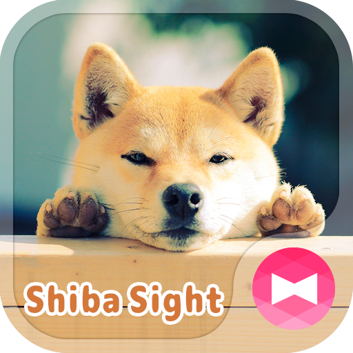 可愛い 壁紙アイコン 柴犬の視線 無料 Google Play のアプリ