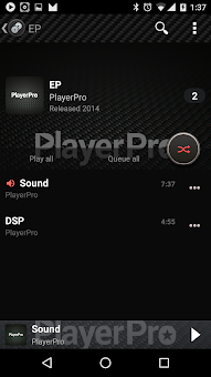 Skin for PlayerPro Carbon screenshot 4