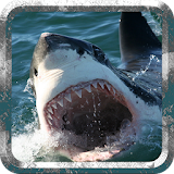 Angry Shark - Wild Attack icon