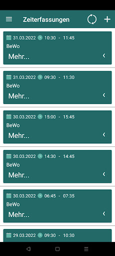 GETECO mobile FLS 2.0