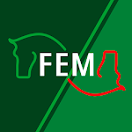 Cover Image of Download FEM 1.0.6 APK