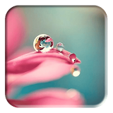 Water drop dew HD background icon