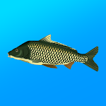 Cover Image of Baixar Pesca Verdadeira. Simulador de pesca  APK