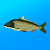 True Fishing. Fishing simulator Mod Apk 1.15.1.714 (Unlimited money)