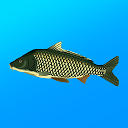 下载 True Fishing. Fishing simulator 安装 最新 APK 下载程序