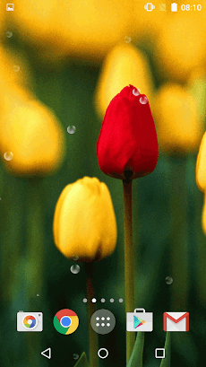 春 花 背景 背景 素材 無料壁紙 無料壁紙スマホ Androidアプリ Applion