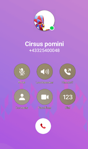 Circus Pomini Call & Chat Room