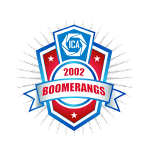 Boomerang Investment logo