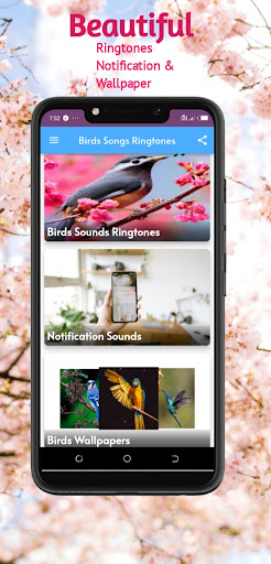 Bird Songs ringtones Screen 2