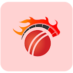 Cover Image of Download Cricket Fast Line - Fast Cricket Live Line 2.0.1 APK