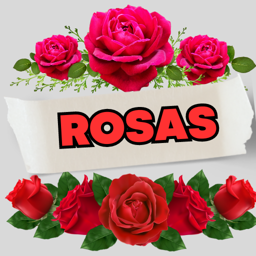 Rosas con Frases Bonitas