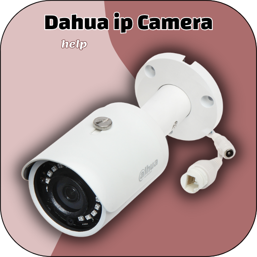 Dahua ip Camera help