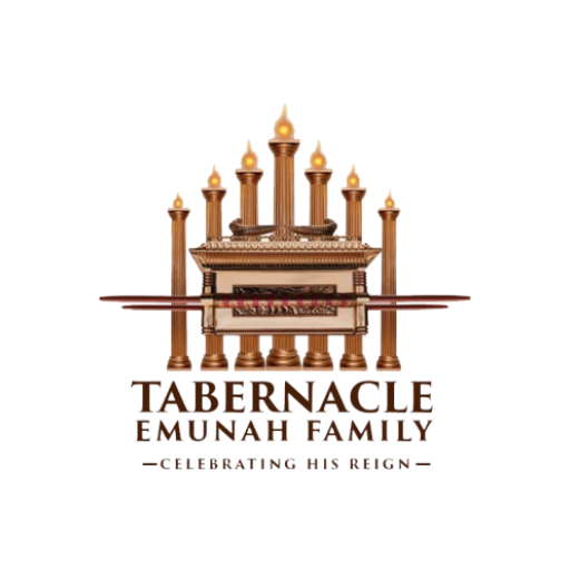 Hill Emunah Radio logo