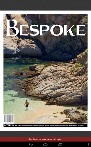 Screenshot of Bespoke