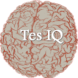 Tes IQ & Personality icon