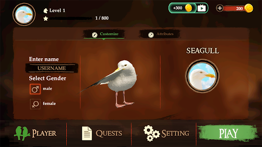 The Seagull 1