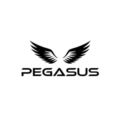 Pegasus Transformers logo