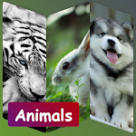 Cover Image of Unduh Animals Wallpapers 0.3 APK