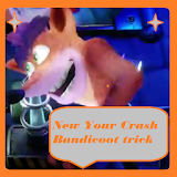 Your Crach Bandicoot trick 17 icon
