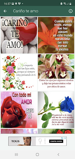 ¡Cariño te amo Frases de amor