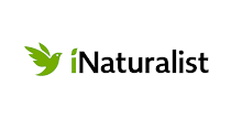 iNaturalist APK