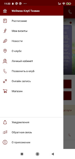 Wellness Tikhvin Screen 2