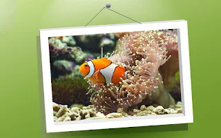 Picture Puzzle: Fishes - Screenshot 1