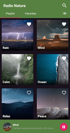 Radio Nature Screen 2
