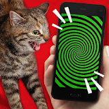 Tease Cat! Hypnosis simulator icon