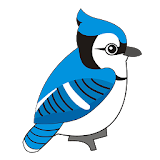 Bird-Technology icon