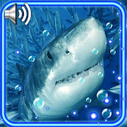 Sharks HD Live Wallpaper  Icon