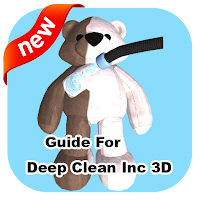 Guide For Deep Clean Inc 3D