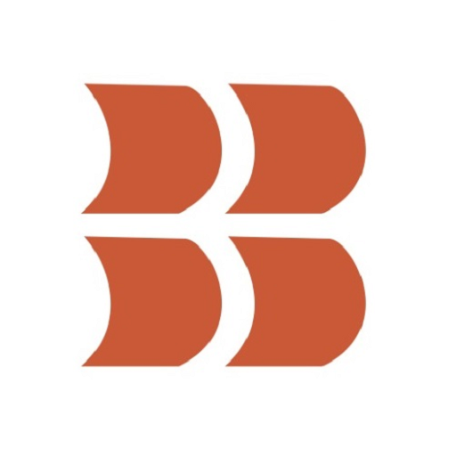 BIG BULLZ INVESMART logo