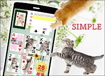 screenshot of Cats Playing Card Games